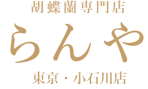 【らんや小石川店】東京・小石川にある胡蝶蘭専門店