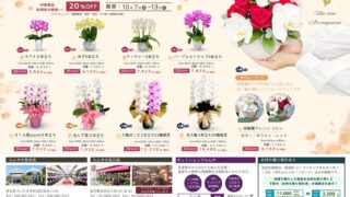 黒臼洋蘭園らんや～お陰様で40周年を迎えます！！ | 胡蝶蘭専門店